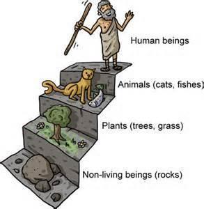 Přírodní (naturální) teologie Věda určená k odhalení Stvořitelova plánu pomocí studia přírody, především klasifikace druhů - druhy jsou stálé, dokonalé a neměnné.