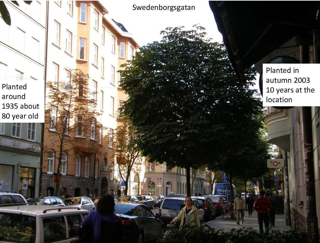 Björn Embrén, Street