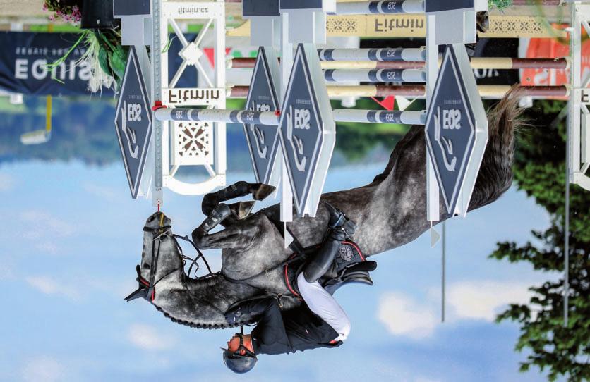 V roce 2018 úspěšně absolvoval 80denní test PK CS a může tedy působit v plemenitbě. Jeho otcem je ryzák Baloubet du Rouet, kterého snad ani není třeba představovat.