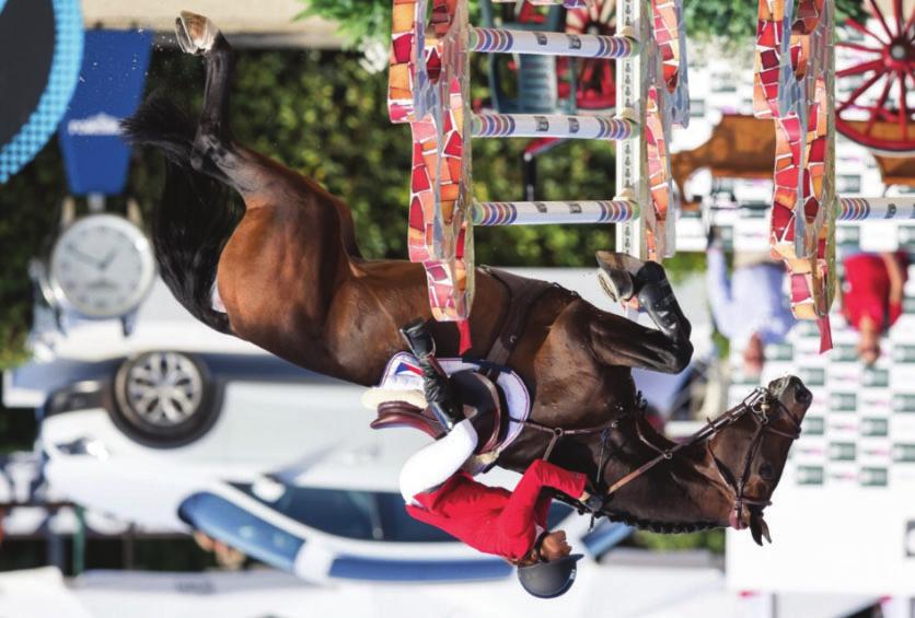 CALERI II Plemenná kniha: Holst Barva: hnědák Rok narození: 2003 Výška: 169 cm Licentován pro: CS, ČT(AP), Holst, Westffal WFFS: negativní Inseminace 2021 Základní sazba: 4 000 Kč Doplatek za březí