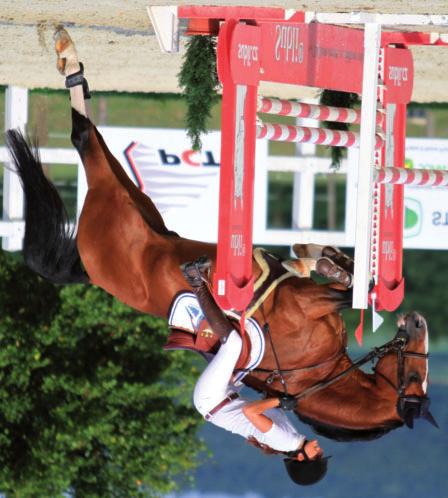 Kariéru bohužel předčasně ukončil kvůli fraktuře končetiny. Clive je synem plemenného hřebce Heartbreaker (Nimmerdor x Silvano), který patří k nejlepším evropským plemeníkům.
