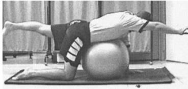 Také je výhodnou pomůckou pro zlepšení ergonomie prostředí u lidí se sedavým zaměstnáním.