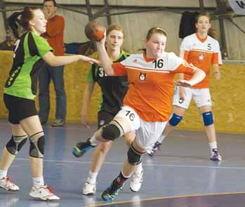 strana 11 www.velkomeziricsko.cz číslo 37 23. října 2013 Čelo tabulky MKVM zůstává beze změn Liga mužů MKVM 7.