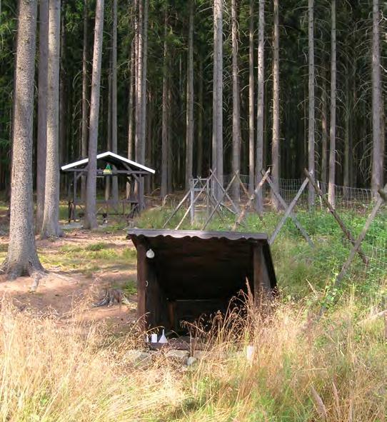 OBECNICKÝ ZPRAVODAJ / Listopad 2020 11 POVÍDÁNÍ O STUDÁNKÁCH 5.