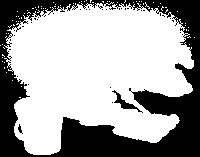 2) Acetylcholin neurotransmiter 3)
