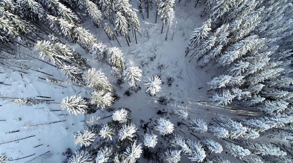 28 29 Proměny klimatu a ekosystémů v horských oblastech vyvolávají výrazné změny v ukládání a tání sněhu.