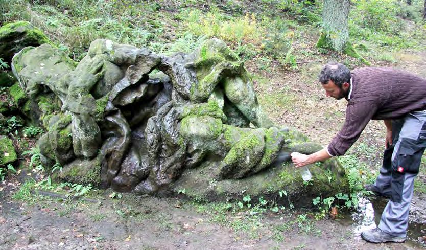 Zhodnotí její stav, provedou případné dočištění a apikují ochranný biocidní postřik. Ten by mě zpomait růst mechů a išejníků.