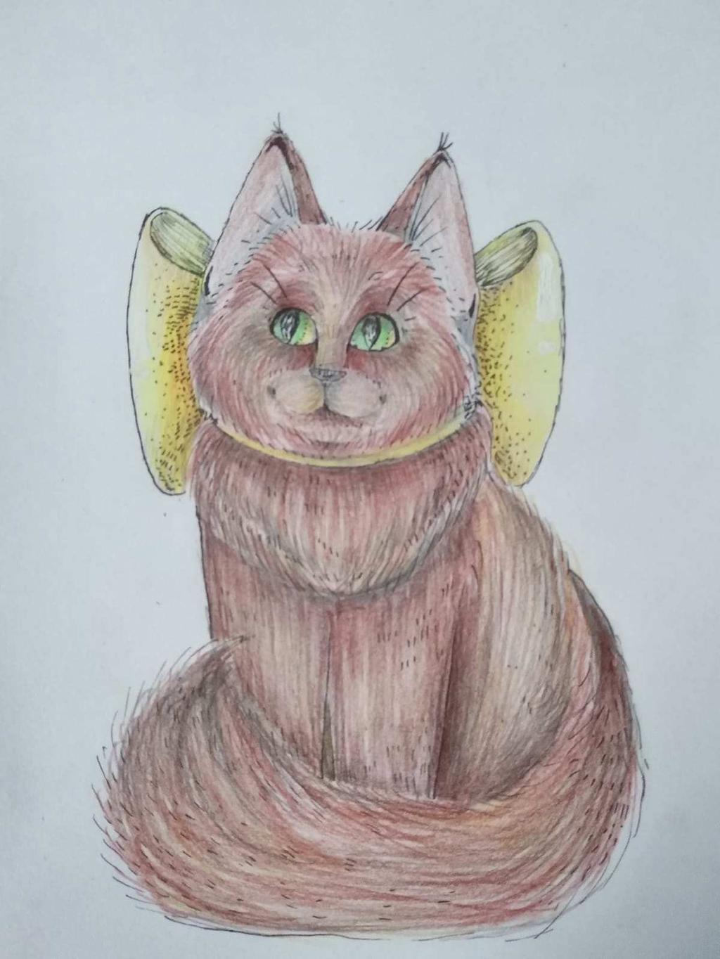 Nezapomněli jste na dárek pro svého domácího mazlíčka?