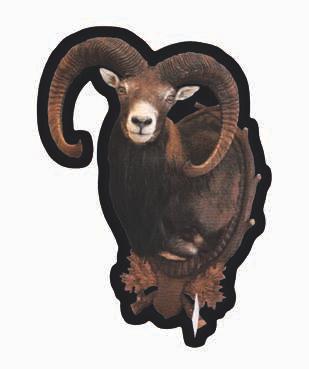 Muflon M.