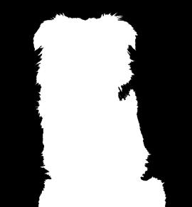 Přihlášky zasílejte