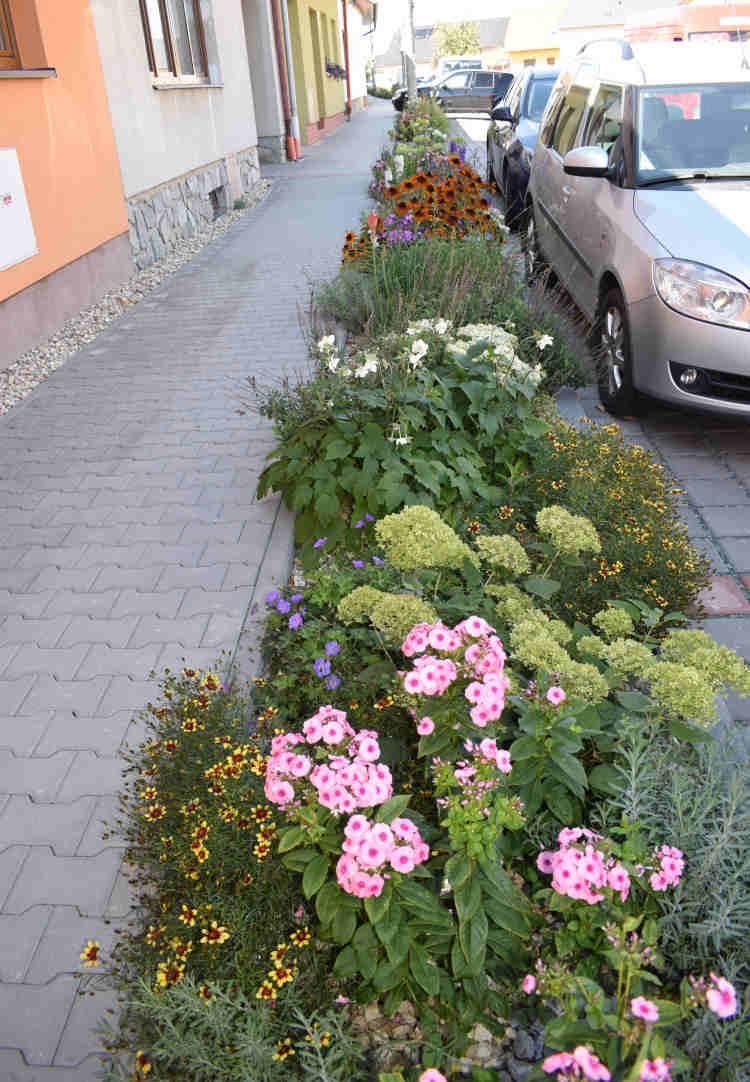 Rozkvetlá