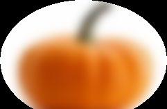 Spoj dýni z