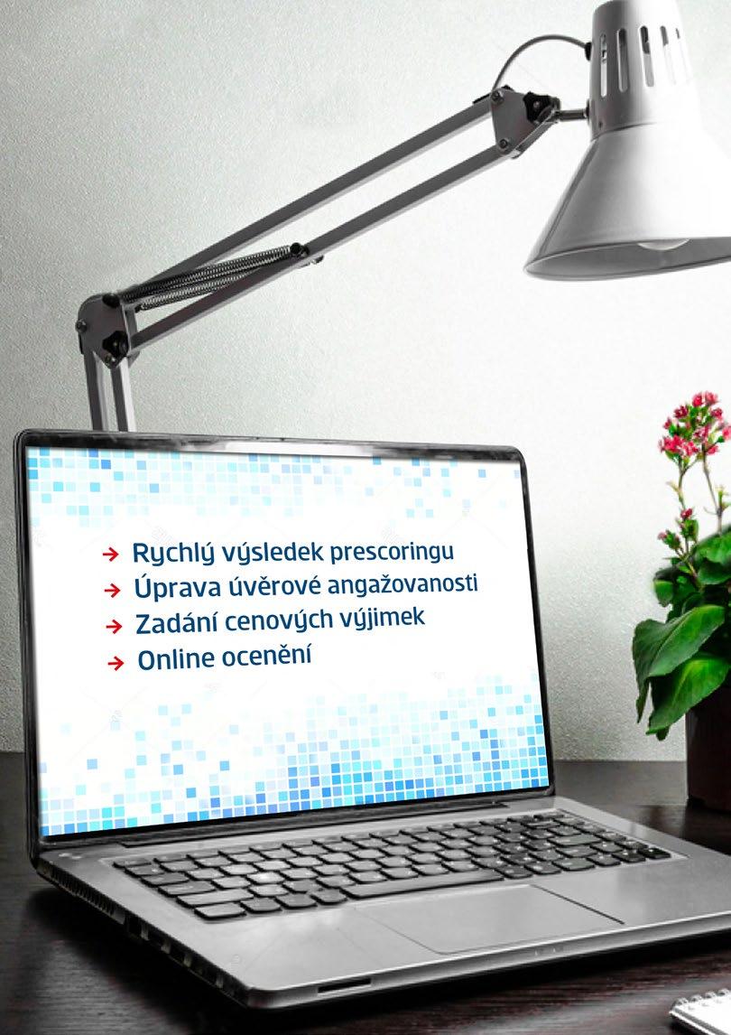 Celý sektor je tak nucen přistoupit postupně k maximální profesionalizaci prodejních sítí. U společnosti ZFPA je tento fakt podpořen navíc i stále probíhající hloubkovou kontrolou ze strany ČNB.