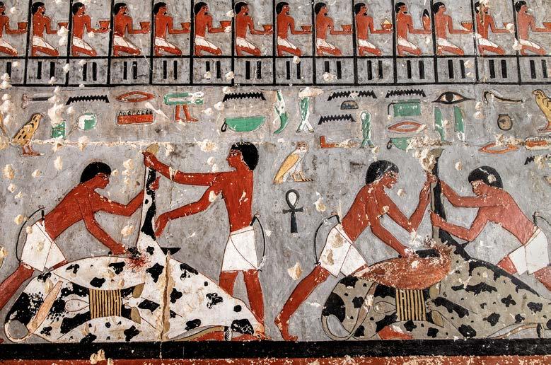 Také dovnitř pohřební komory se tehdejší expedice nedostala, takže do královniny části od starověku zatím nikdo nevstoupil. Pro české egyptology představovala tato lokalita velkou příležitost.