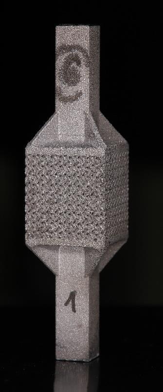 Návrh, výroba a příprava vzorků 3D struktur pro mechanické