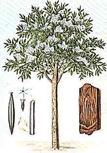 artritidy Biologika