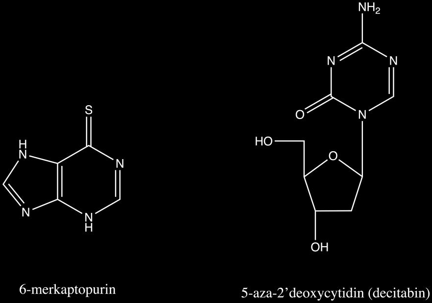 Příprava prolékových forem biologicky aktivních nukleosidových analogů Michaela Baudyšová (B3) Školitel: doc. Dr. Ing.