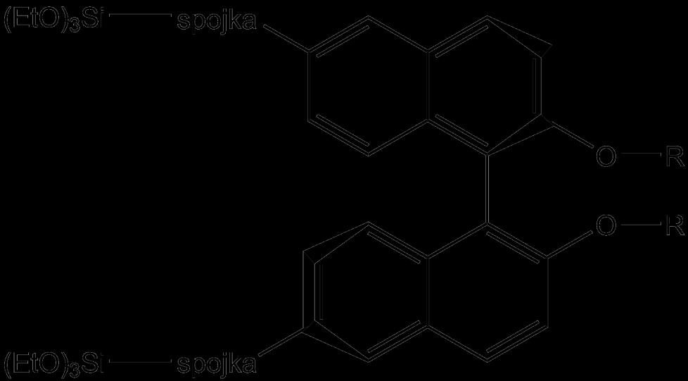 Syntéza 6,6'-difunkcionalizovaných derivátů 1,1'- binaftalen-2,2'-diolu Bc. Arina Bolshova (M2) Školitel: doc. Dr. Ing.
