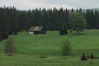 Sídla ležící v hranicích NP Šumava jsou až na výjimky venkovská, veřejná uměle založená zeleň se v nich prakticky nevyskytovala