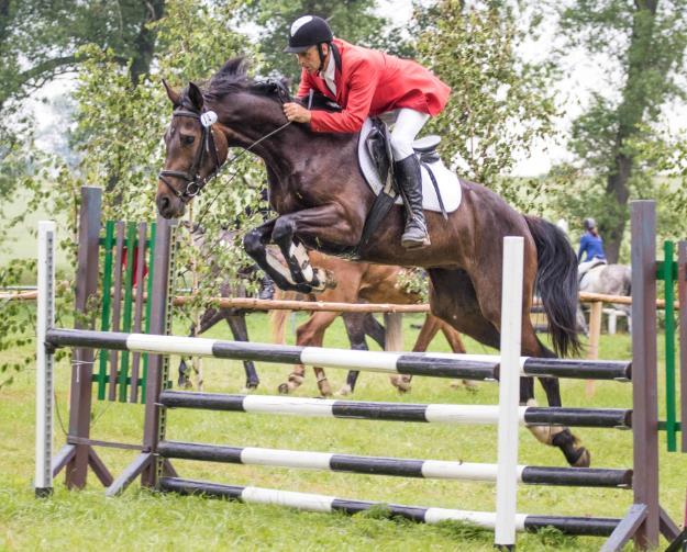 odpočinku od sportovních aktivit. Nezbylo tedy než oprášit již odložené sportovní vybavení druhého z jezdců, a hlavně trenéra v naší stáji.