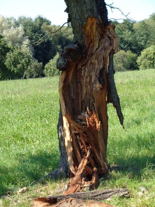v koupališti.