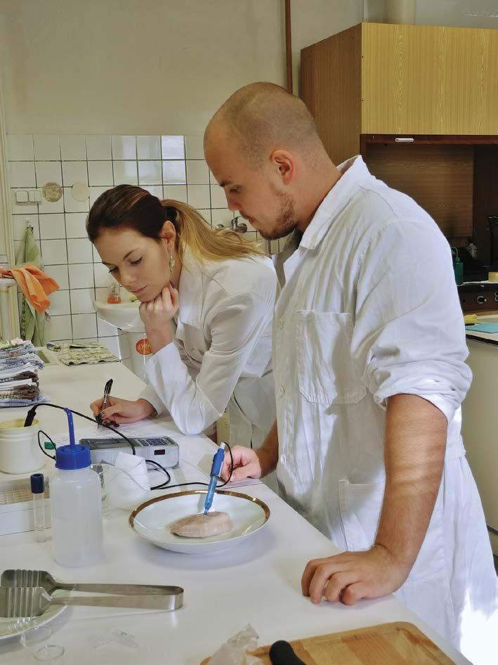 Hennovation Practice-led innovation supported by science and market-driven actors in the laying hen and other livestock sectors (Research Executive Agency (REA) European Commission).