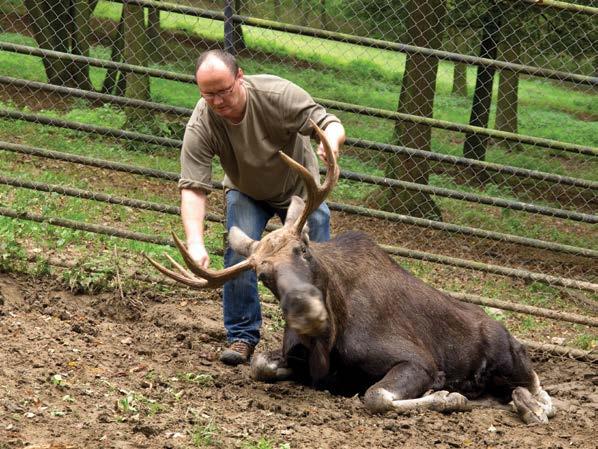 Ústav ekologie a chorob zoozvířat, zvěře, ryb a včel Prof. MVDr. Jiří Pikula, Ph.D., dipl.