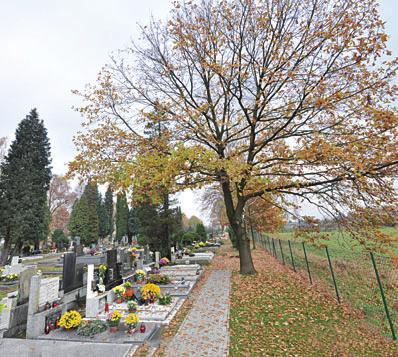 Lze přejmenovat ulici Na Úvoze na Lipovec O názvech ulic, městských částí a jiných veřejných prostranství rozhoduje městské zastupitelstvo.