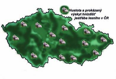 (65 km) nebo mládě okroužkované 24. 5. 1969 u Kačleh na Jindřichohradecku a střelené 13. 6. 1971 u Dolních Hutí na Jihlavsku (37 km).