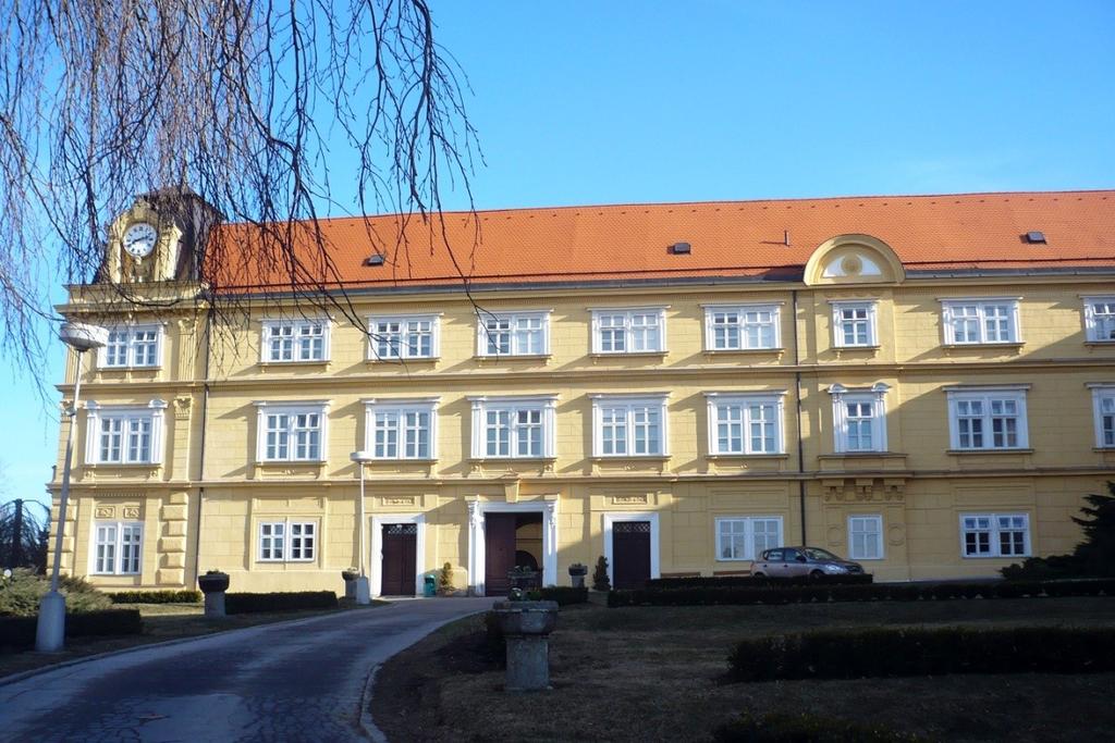 Příloha č.
