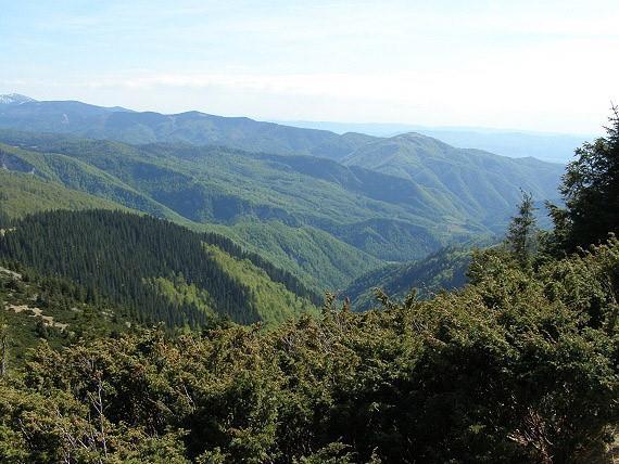 Karpaty