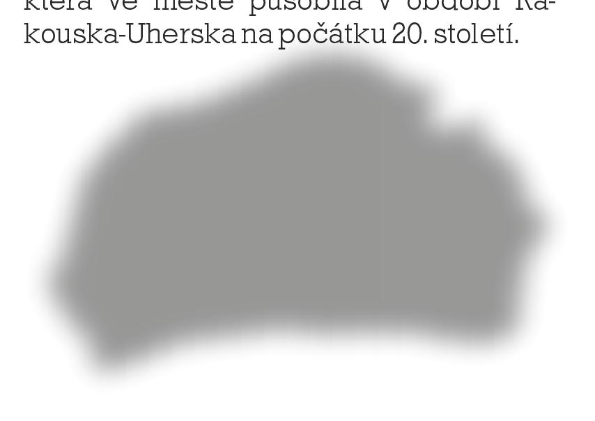středověké sídelní aglomerace vznikající postupně kolem centrálního hradiště situovaného v prostoru dnešního přerovského Horního náměstí.