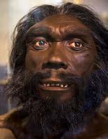 NEJMLADŠÍ OBDOBÍ VÝVOJE V tomto období vznikly pokročilé formy člověka, které se již rozšířily do celého světa. Člověk heidelberský (Homo heidelbergensis) Obr.