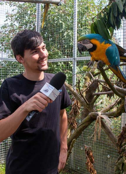V V V V V V V V V Činnost marketingu a PR O zoologickou zahradu v Táboře se i v roce 2019 velmi často zajímali novináři z nejrůznějších médií.