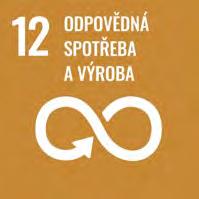 Přestože jsme na začátku naší cesty, již nyní máme ucelenou představu, jak našich cílů do roku 2030 chceme dosáhnout.