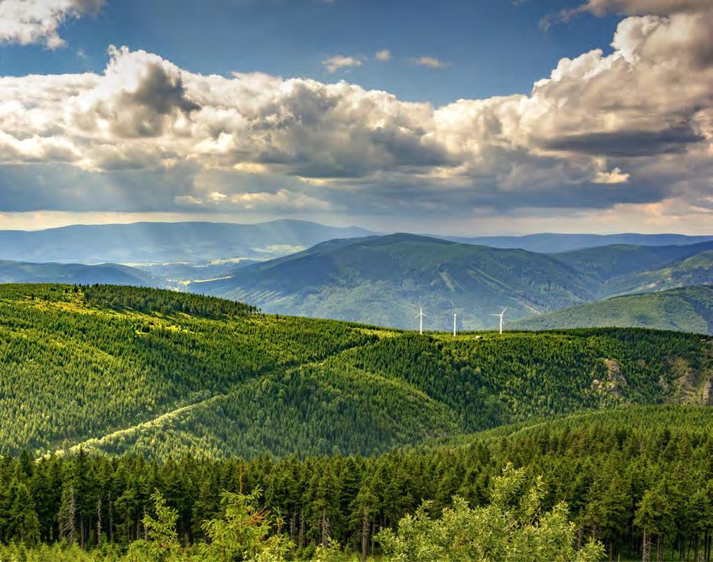 OCHRANA ŽIVOTNÍHO PROSTŘEDÍ Spotřeba energií Rok Teplo - TJ Elektrická energie - kwh 2009 288,41 67 768 033,00 2010 325,99 67 988 443,32 2011 298,87 65 528 054,00 2012 313,56 65 472