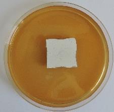 Experimentální část Z hlediska potencionální aplikace lze říci, že po potřeby samočistitelnosti je v případě TiO 2 klíčová přítomnost UV záření.
