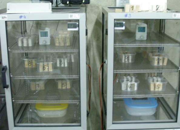 Experimentální část Vzorky byly na počátku experimentu opět zbaveny plísní na jejich povrchu expozicí UV zářením po dobu 20-ti minut z každé strany.
