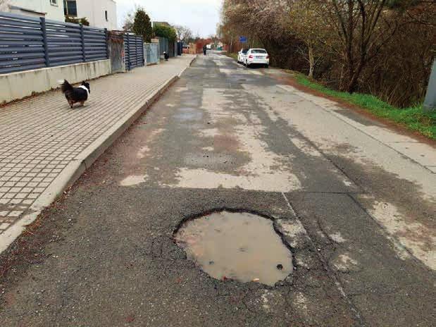 V polovině dubna začala další údržba našich stromů, podle Plánu péče. Firma Baobab péče o 