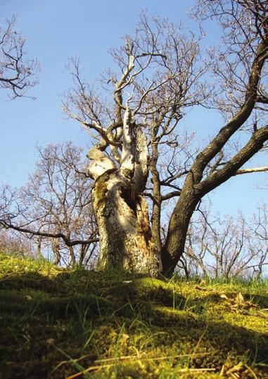 PONITRIE - Kraj dvojí tváře Chráněná krajinná oblast Ponitří má s řekou Nitrou jen málo společného.