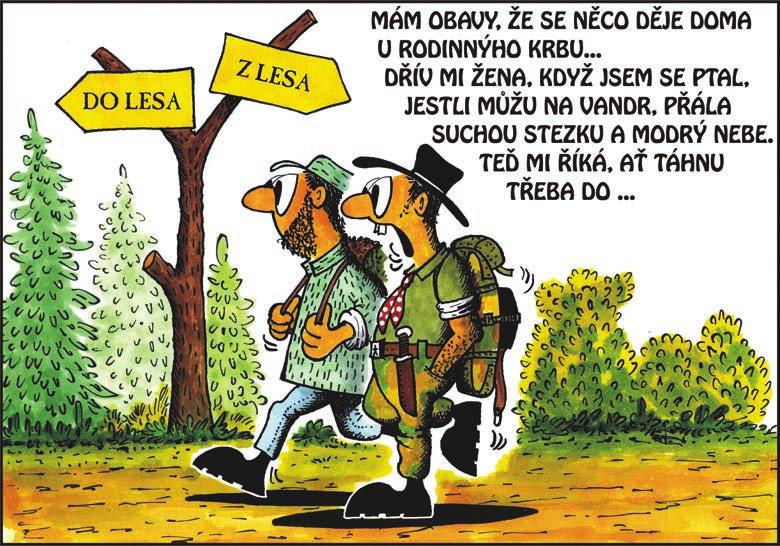 Kokeš