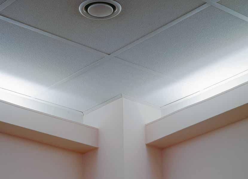 ) Hrany desky 600 x 600 x 8 mm 600 x 1200 x 8 mm Povrch kazety jemně strukturovaný Podíl