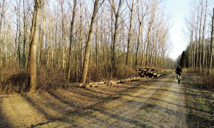 10 Rozhovor MĚSTO ŽIDLOCHOVICE ZPRAVODAJ Z lesa nemůžeme vykácet víc, než nám tam přiroste Určitě se vám také stalo, že jste se po pár letech vrátili na místo, které jste měli v paměti jako zelenou