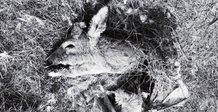 18 Volný čas MĚSTO ŽIDLOCHOVICE ZPRAVODAJ Při návštěvě Výhonu slušně a s pokorou Kopec Výhon je dominantou nad městem Židlochovice, díky čemuž se stává vyhledávaným místem pro turistiku i jiné