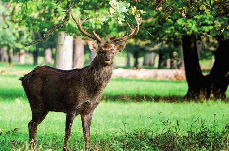 Není jiná možnost, než aby se tyto zájmové skupiny respektovaly a přizpůsobily tomu své chování, začínající u každého jednotlivce. Ing.