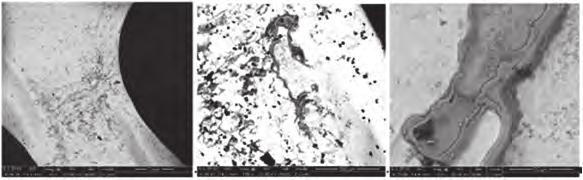 ISSN 0018-8069 Recenzované vědecké články Peer-reviewed Scientific Papers argonu z plazmatu jsou urychlovány elektrickým polem k povrchu vzorku a vyrážejí atomy z krystalové mřížky vzorku.