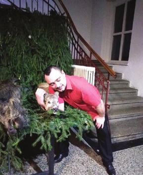 muflonka, jedna srna a divoké prase.