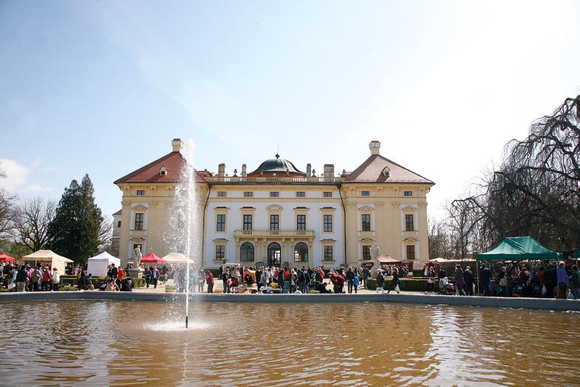zámeckém parku.
