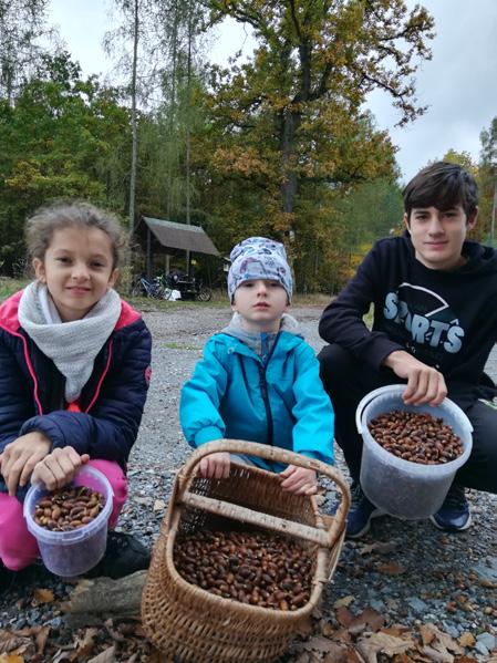 Děti moc chválíme, protože každé nasbíralo alespoň jeden litrový kyblík, nejlepším sběračem pak vyhlašujeme Filipa Zigáčka, který se sám od sebe zúčastnil všech sběracích dnů.