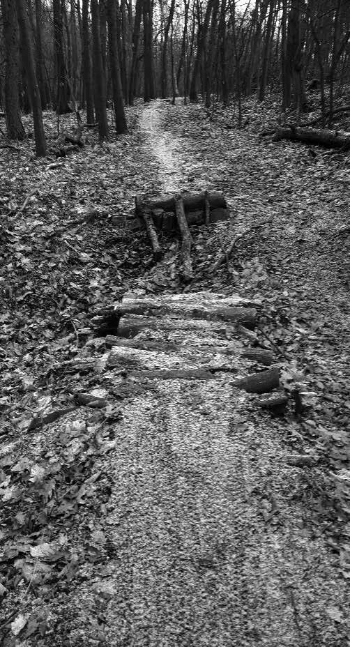 z radnice Foto: Petr Kubín Stanislav Mihal, zástupce Odboru životního prostředí MěÚ Černošice Obecně, veřejnost má právo na vstup do lesa včetně sběru lesních plodů atd.